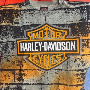 RARE Vintage 96 Harley Davidson Bricked MI Mens Large Streetwear Grail.